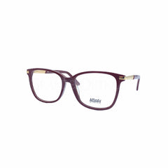 Rame de ochelari Affinity 8661 C2