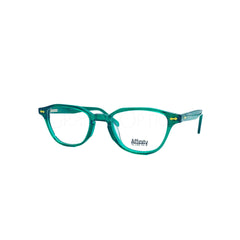 Rame de ochelari Affinity 8778 C1