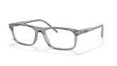 Rame de ochelari Arnette AN7194 2665