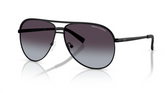 Ochelari de soare Armani Exchange AX2002 60008G
