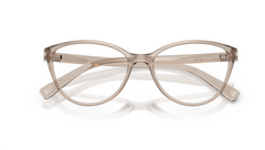 Rame de ochelari Armani Exchange AX3053 8240