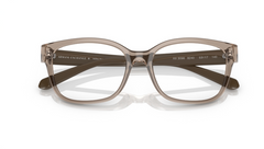 Rame de ochelari Armani Exchange AX3098 8240