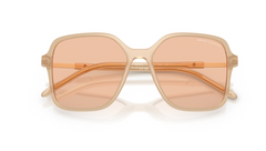 Ochelari de soare Armani Exchange AX4163S 836673