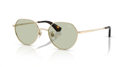Ochelari de soare Burberry BE3173D 1109/2