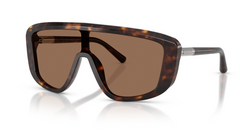 Ochelari de soare Dolce&Gabbana DG4520 502/73