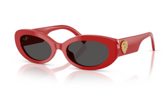 Ochelari de soare Dolce&Gabbana DG4537 308887