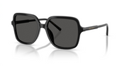 Ochelari de soare Dolce&Gabbana DG4539 501/87