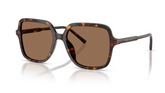 Ochelari de soare Dolce&Gabbana DG4539 502/73