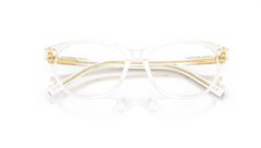 Rame de ochelari Dolce&Gabbana DX3002 3133