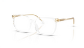 Rame de ochelari Dolce&Gabbana DX3003 3133