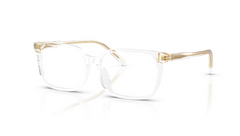 Rame de ochelari Dolce&Gabbana DX3003 3133