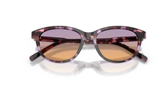 Ochelari de soare Dolce&Gabbana DX4010 3477EL