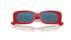 Ochelari de soare Dolce&Gabbana DX6006U 308825