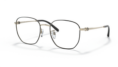 Rame de ochelari Emporio Armani EA1134D 3082