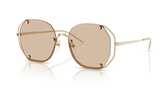 Ochelari de soare Emporio Armani EA2168 301393