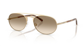 Ochelari de soare Emporio Armani EA2171 300213
