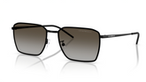 Ochelari de soare Emporio Armani EA2172D 300113