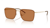 Ochelari de soare Emporio Armani EA2172D 301373