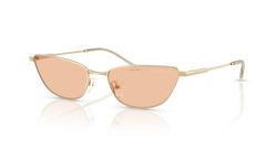 Ochelari de soare Emporio Armani EA2174B 301393