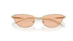 Ochelari de soare Emporio Armani EA2174B 301393