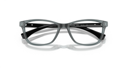Rame de ochelari Emporio Armani EA3099 6364