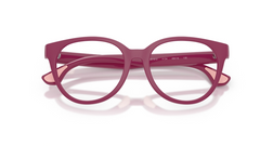 Rame de ochelari Burberry JB2019U 4134