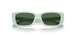 Ochelari de soare Burberry JB4006U 423071