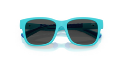 Ochelari de soare Burberry JB4007U 423587