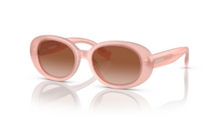 Ochelari de soare Burberry JB4339 392313