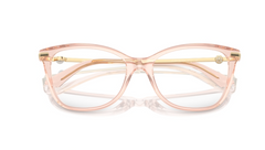 Rame de ochelari Jimmy Choo JC3007HB 5034