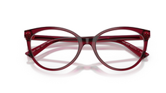 Rame de ochelari Jimmy Choo JC3047 5062
