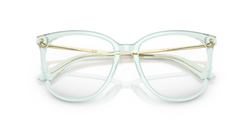Rame de ochelari Jimmy Choo JC3060 5108