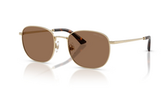 Ochelari de soare Jimmy Choo JC4025B 300673