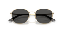 Ochelari de soare Jimmy Choo JC4025B 300687