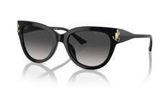 Ochelari de soare Jimmy Choo JC5018U 50008G