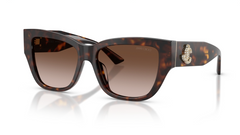 Ochelari de soare Jimmy Choo JC5039BU 500213