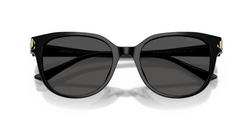 Ochelari de soare Jimmy Choo JC5057D 500087