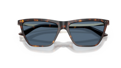 Ochelari de soare Jimmy Choo JC5059U 500280