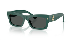 Ochelari de soare Jimmy Choo JC5063U 510187