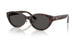 Ochelari de soare Jimmy Choo JC5064D 500287