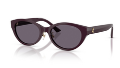 Ochelari de soare Jimmy Choo JC5064D 50751A