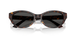 Ochelari de soare Jimmy Choo JC5064D 500287