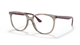 Rame de ochelari Ray-Ban RB4378V 8083