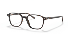 Rame de ochelari Ray-Ban RB5393 2012