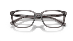 Rame de ochelari Ray-Ban RB7248D 8257