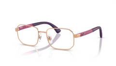 Rame de ochelari Ray-Ban RB1060 4089