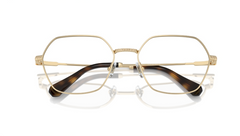 Rame de ochelari Swarovski SK1011 4013