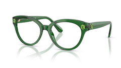 Rame de ochelari Swarovski SK2037 1064