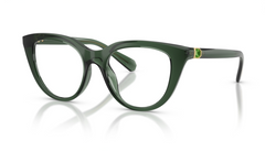Rame de ochelari Swarovski SK2052 1043