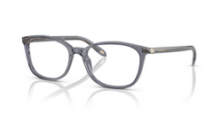 Rame ochelari Tiffany&Co TF2109HB 8405